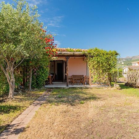 Appartamento Trilocale Le Canne 4 Posti Letto Con Giardino E Posto Auto Privato San Teodoro  Buitenkant foto